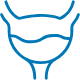 bladder